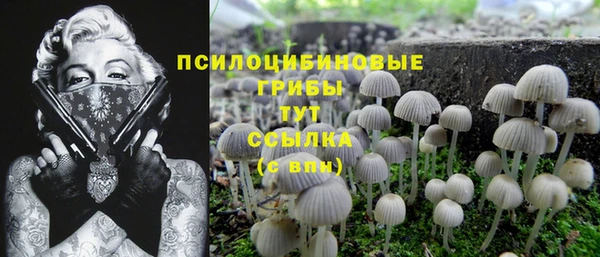 метадон Абинск